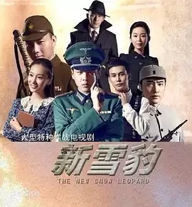 电视剧雪豹坚强岁月剧情介绍