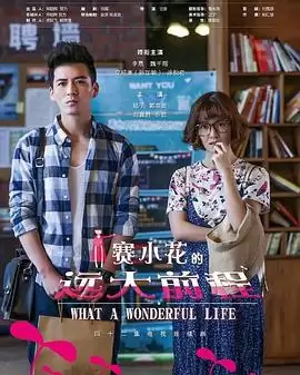 电视剧赛小花的远大前程剧情简介