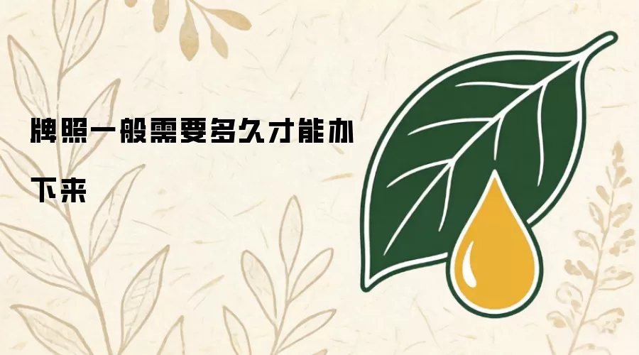牌照一般需要多久才能办下来