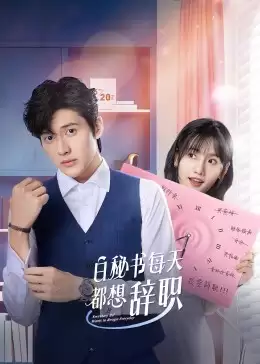 电视剧《白秘书每天都想辞职》剧情介绍