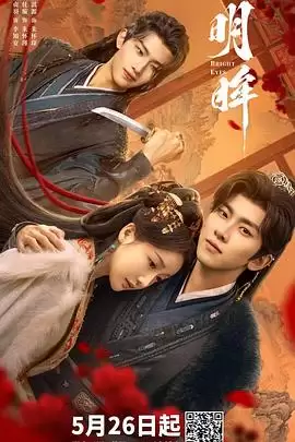 电视剧《明眸》剧情介绍