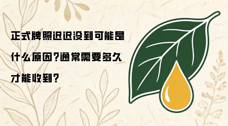 正式牌照迟迟未到是何原因 通常需要多久才能收到