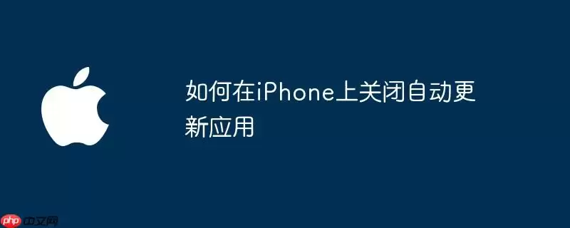 怎样在iPhone上关闭自动更新应用