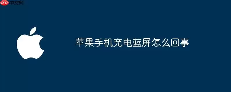 苹果手机充电蓝屏怎么回事