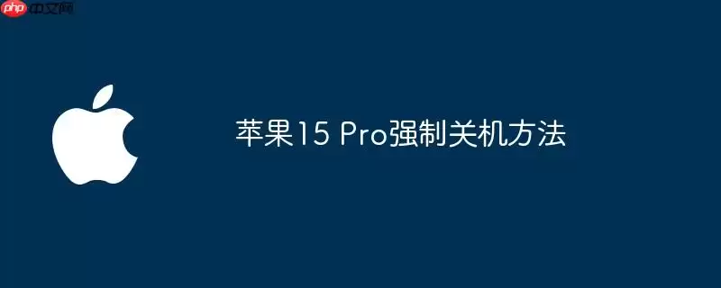 苹果15 Pro强制关机步骤