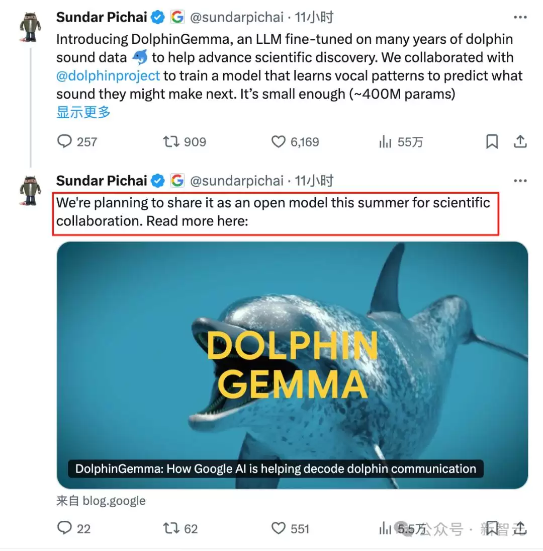 谷歌AI成功破解海豚语：海洋版ChatGPT来了：掀人类跨物种交流革命