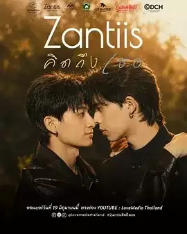 电视剧《Zantiis想你》剧情概述