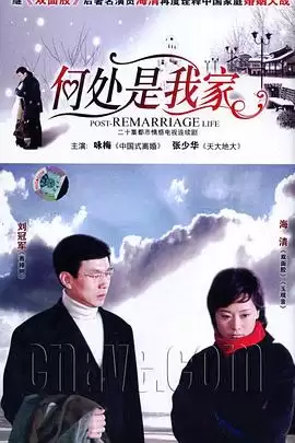 电视剧《何处是我家》剧情简介