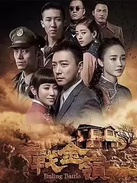 电视剧《战金岭》剧情简介