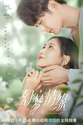 《幻梦情缘》电视剧剧情介绍