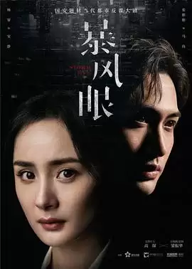 《暴风眼》电视剧剧情介绍