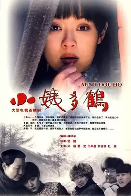 电视剧《小姨多鹤》剧情简介