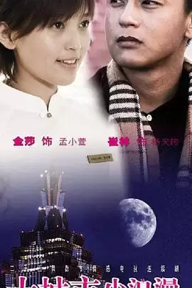 电视剧《大城市小浪漫》剧情梗概