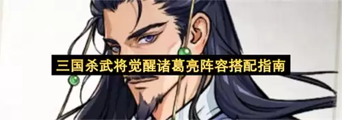 三国杀武将觉醒诸葛亮搭配阵容指南