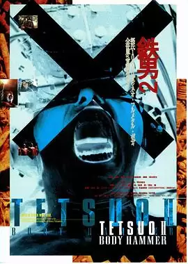 电影《铁男2：血肉横飞》剧情介绍