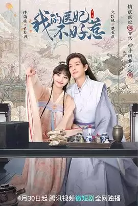 电视剧《我的医妃不好惹》剧情介绍