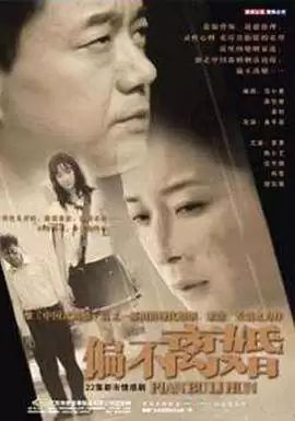 电视剧《婚姻的敌人》剧情介绍