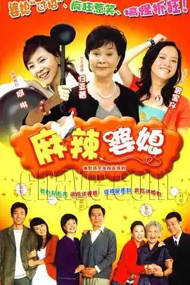 电视剧《麻辣婆媳》剧情介绍
