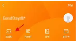 苏宁易购消费金如何查看
