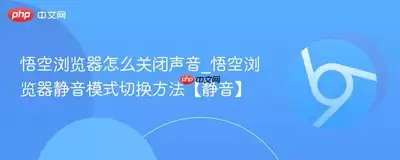 悟空浏览器静音模式下为何还会有广告声音-悟空浏览器在静音模式出现广告声音的原因