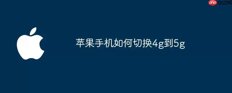 苹果手机怎样切换4g到5g