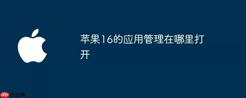 苹果16的应用管理在哪打开