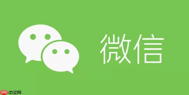iPhone13ProMax微信收款语音无法设置怎么办：解决语音功能的教程