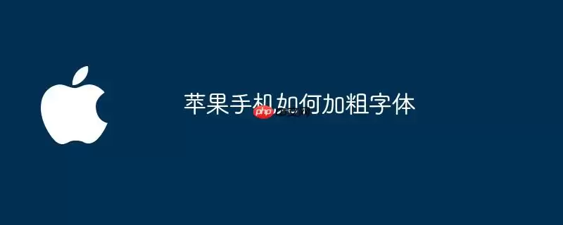 苹果手机怎么加粗字体