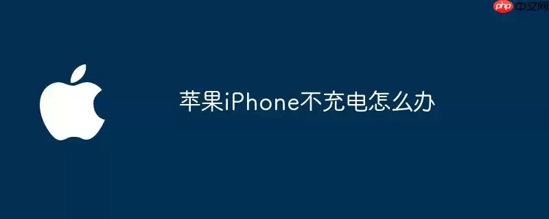 苹果iPhone无法充电咋办