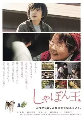 电影《肥皂泡》剧情简述
