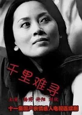 《千里难寻》电视剧剧情介绍