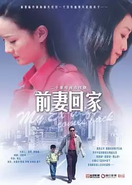 电视剧前妻回家剧情介绍