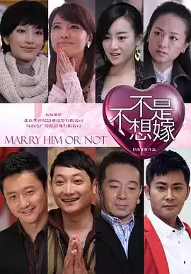 电视剧《不是不想嫁》剧情梗概