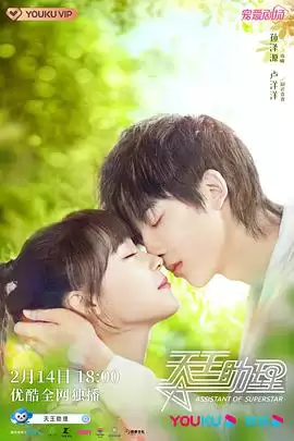 电视剧《天王助理》剧情简介