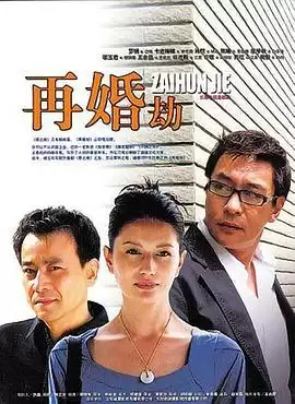 电视剧《再婚劫》剧情梗概