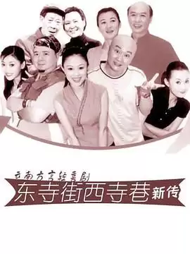 电视剧《东寺街西寺巷新传》剧情简介
