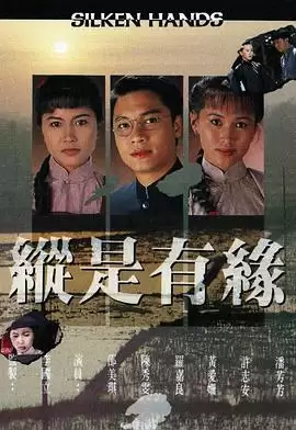 电视剧《自梳女》剧情简介