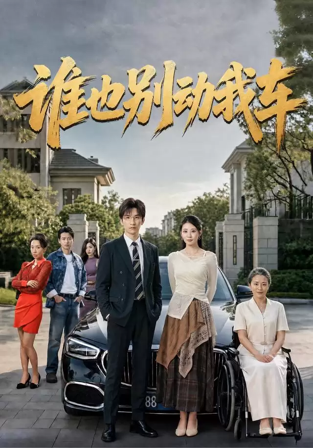 短剧《谁也别动我车》剧情介绍