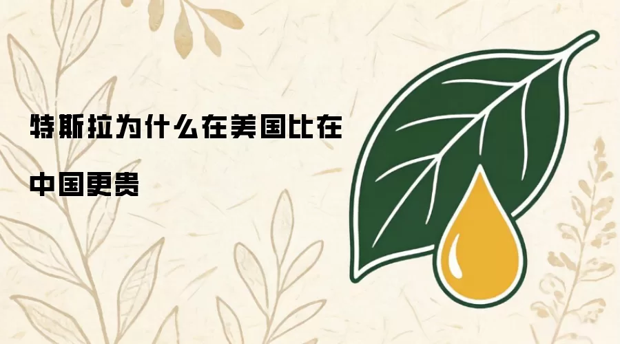 特斯拉为什么在美国比在中国更贵