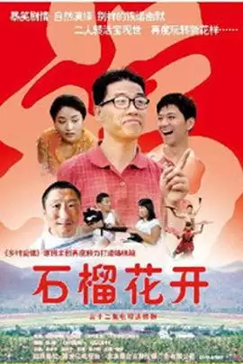 电视剧《石榴花开》剧情介绍
