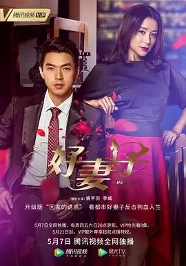 电视剧《好妻子2020》剧情介绍