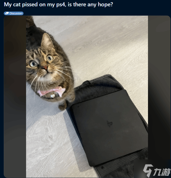 猫咪在PS4上尿了!网友崩溃求助:还有救吗?