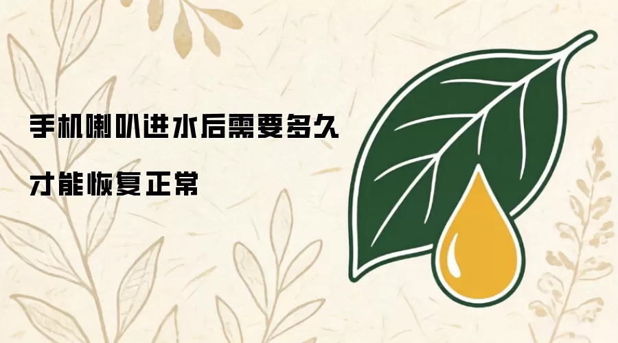 手机喇叭进水后需多久才能恢复正常