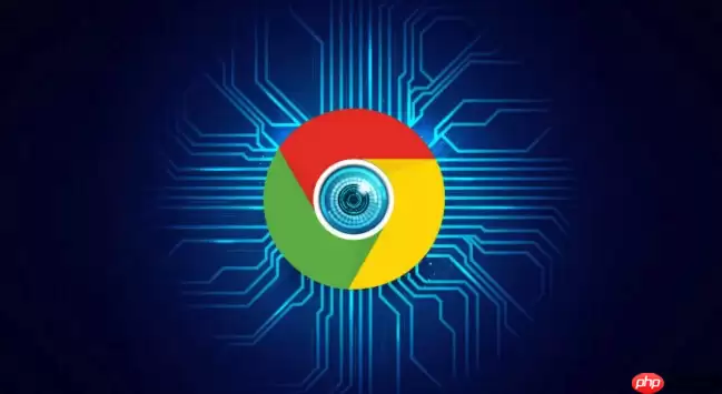Google浏览器官方下载入口和官方地址