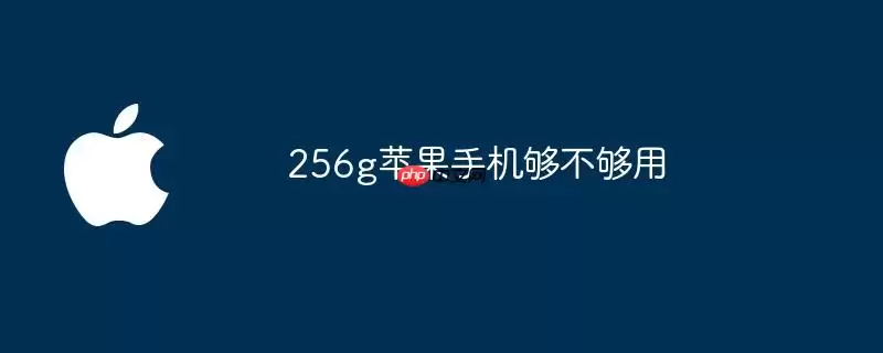 256g苹果手机容量够不够用