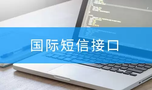 波兰短信接口怎样对接