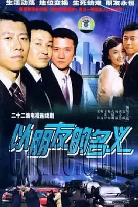 电视剧 以朋友的名义 剧情介绍
