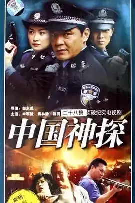 电视剧中国神探剧情介绍