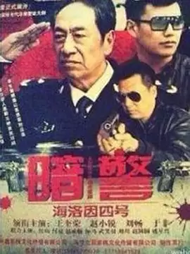 《暗警》电视剧剧情介绍