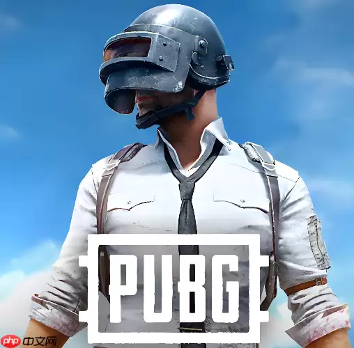 PUBG国际服网页端入口 PUBG国际服官方正版官网